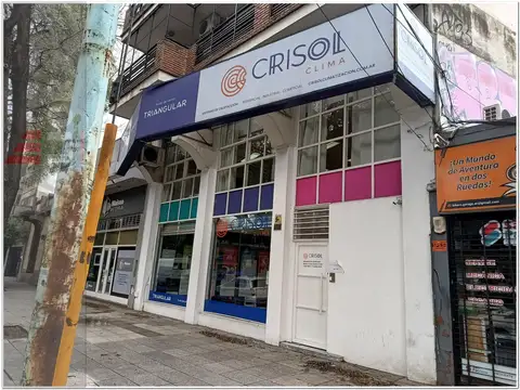 Alvarez Thomas al 1800