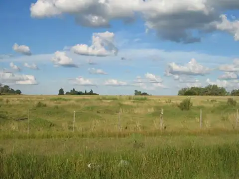 Campo - Venta - Argentina, LUCAS GONZÁLEZ