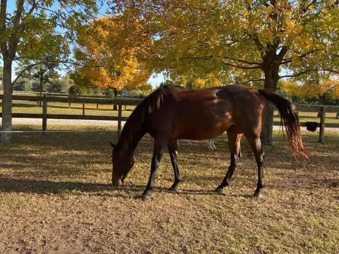 Terreno en Venta de 5300,0 m2