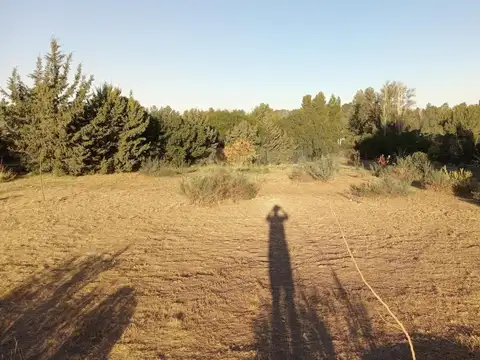 Domingo Pronsato e/ Antonio Crespi Valls y Las Toscas