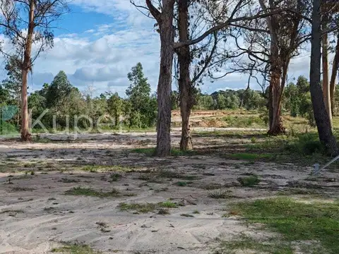 Rincon Del Indio S/n