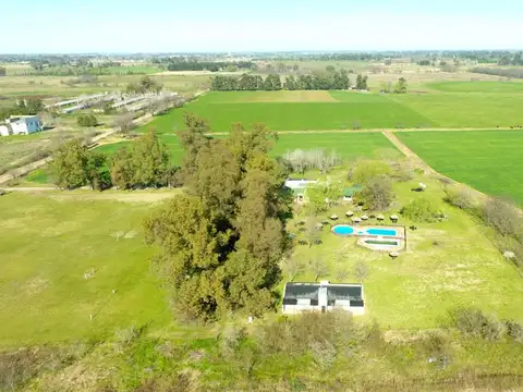 CHACRA CASCO ESTANCIA VENTA NAVARRO RESTAURANTE