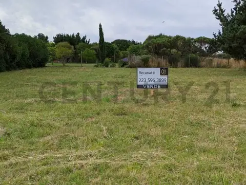 Calle 14 entre 95 y 97 , Piso 0