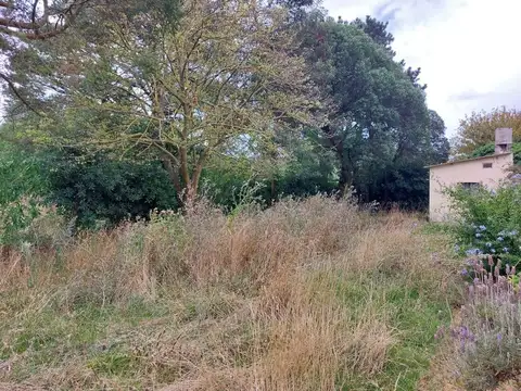 Terreno en Venta en Barrio Chapadmalal, USD 35.000