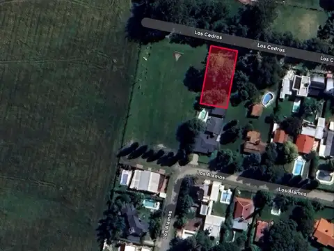 Colectora Countrys 1900