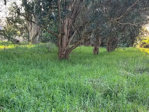 Terreno en Venta de 637,0 m2