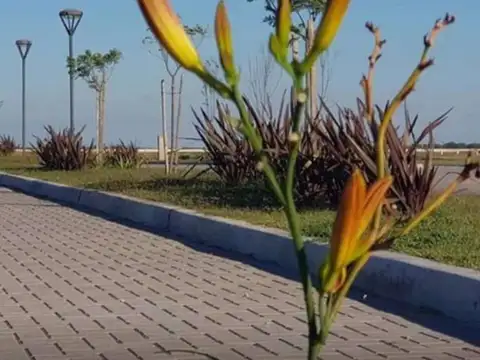 Terreno en Venta en Countries y Barrios Cerrados en San Vicente, USD 38.000