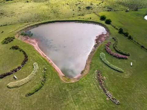 Campo en Venta de 5  ha