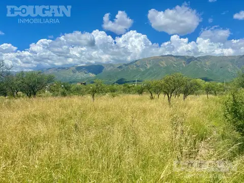 Terreno en Venta de 800,0 m2