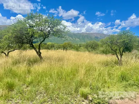 Terreno en Venta 16  mts Frente