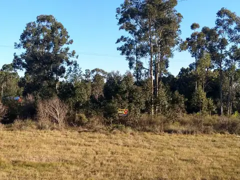 ruta 015 Acceso Concordia