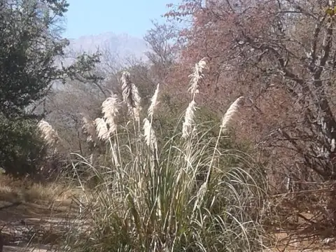 TERRENO de 3500 m2 - Ubicado En Las Chacras - Villa De Las Rosas