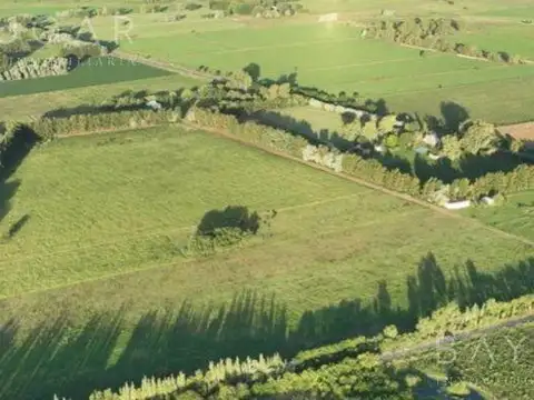 Venta Gran Campo sobre Ruta 34, km 10,4 - Luján