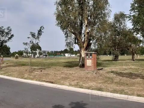 Terreno en venta de 515m² en Santo Tomas