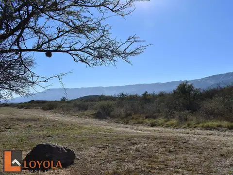 Terreno en Venta de 11829,0 m2