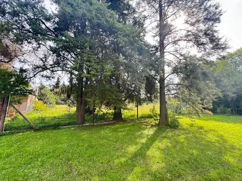 Virgen del Rosario  al 300