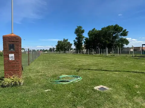 Consultar dirección