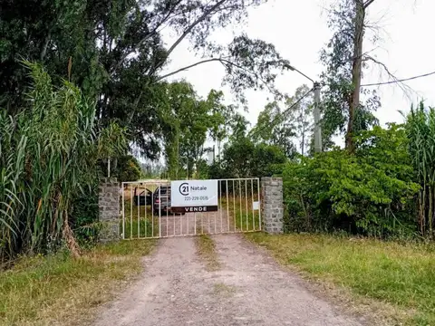 197 y 72, LOTES EN VENTA DE 375M2, LISANDRO OLMOS.