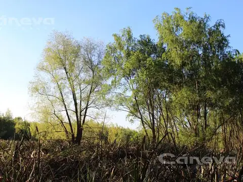 Terreno - Puertos del Lago
