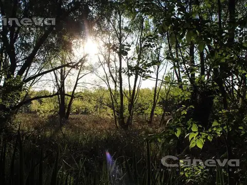 Terreno en Venta de 900,0 m2