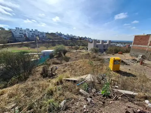 las anemonas s/n 100