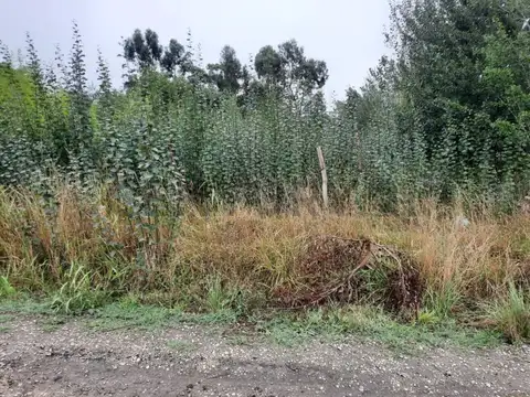 Los Olivares 600, Piso 0