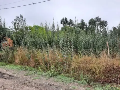 Los Olivares 600, Piso 0