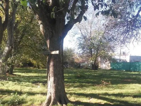 Terreno en Venta 22  mts Frente