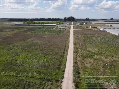 La Plata 3.1 has Horticolas