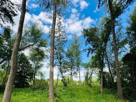 RIO LEBER Y CANAL ARIAS DELTA TIGRE PRIMERA SECCION 100