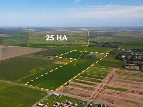 VENTA LOTE 25 HECTÁREAS