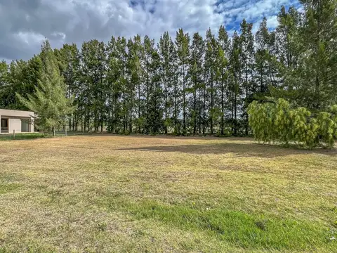 Ruta Provincial 2 6400