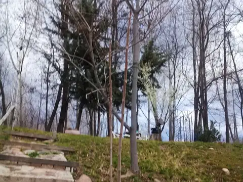 TERRENO IDEAL PARA COMPLEJO - CON 1 CABAÑA