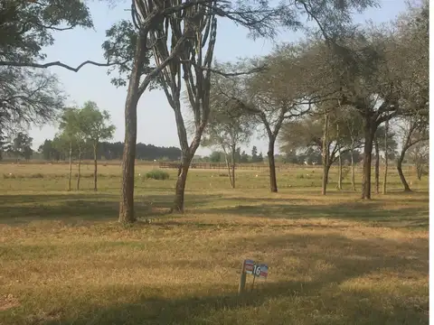 Terreno en Venta en Colonia Benitez, USD 20.000