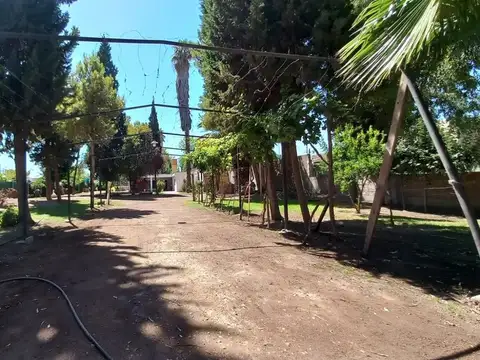 CASA Y SALON COMERCIAL