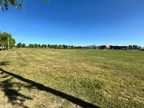 Campos de Roca ll, Ruta 2 Km 65