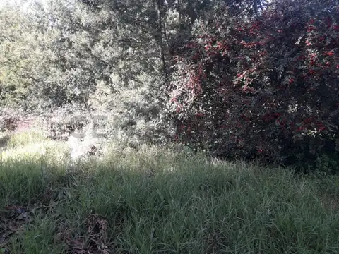 Terreno en Venta de 603,0 m2