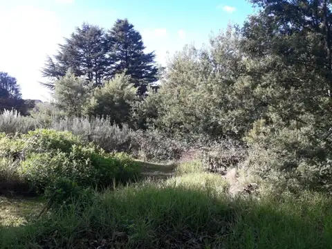 Terreno en Venta de 603,0 m2