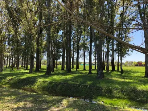 Lote interno 2438 m2 Campos de Roca II