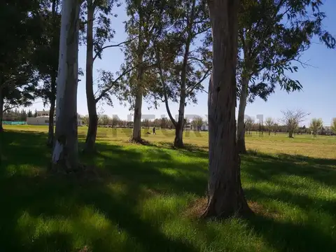 Terreno en Venta 35  mts Frente