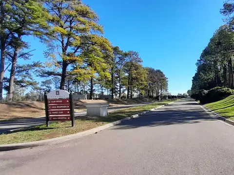Amplios Lotes en Los Pinares C. Club