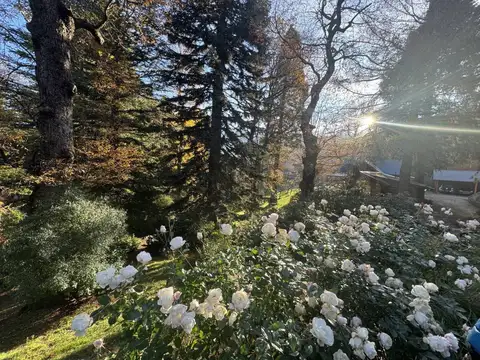 Casa en Alquiler A Estrenar