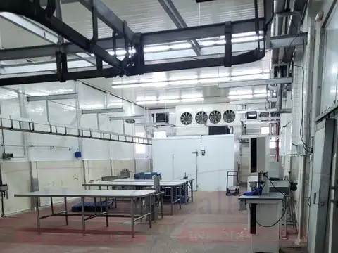 PLANTA FRIGORÍFICA HABILITADA DE 1560 M² A FINANCIAR