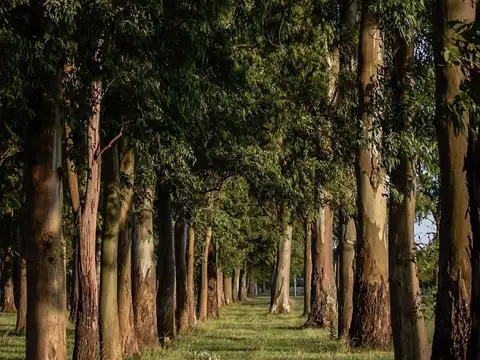 Campos de Roca, Ruta 2 Km 65