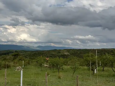 Terreno en Venta de 780,0 m2