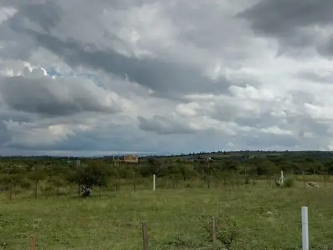 Alicia Moreau de Justo 1000