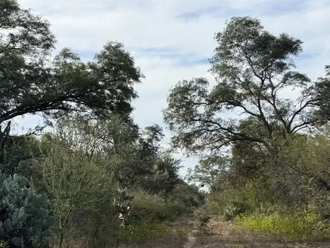 VENTA DE CAMPO EN FERNANDEZ - SANTIAGO DEL ESTERO