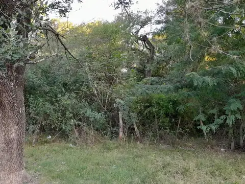 VENDO FANTASTICOS TERRENOS DE GRANDES DIMENSIONES Y ARBOLADO