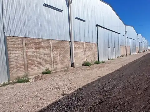 Alquilo Galpón en Maipú