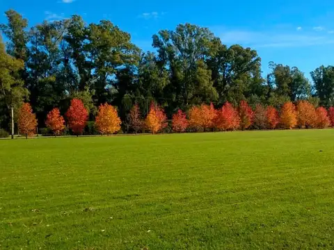 RUTA 2 Km 65 Cnel BRANDSEN